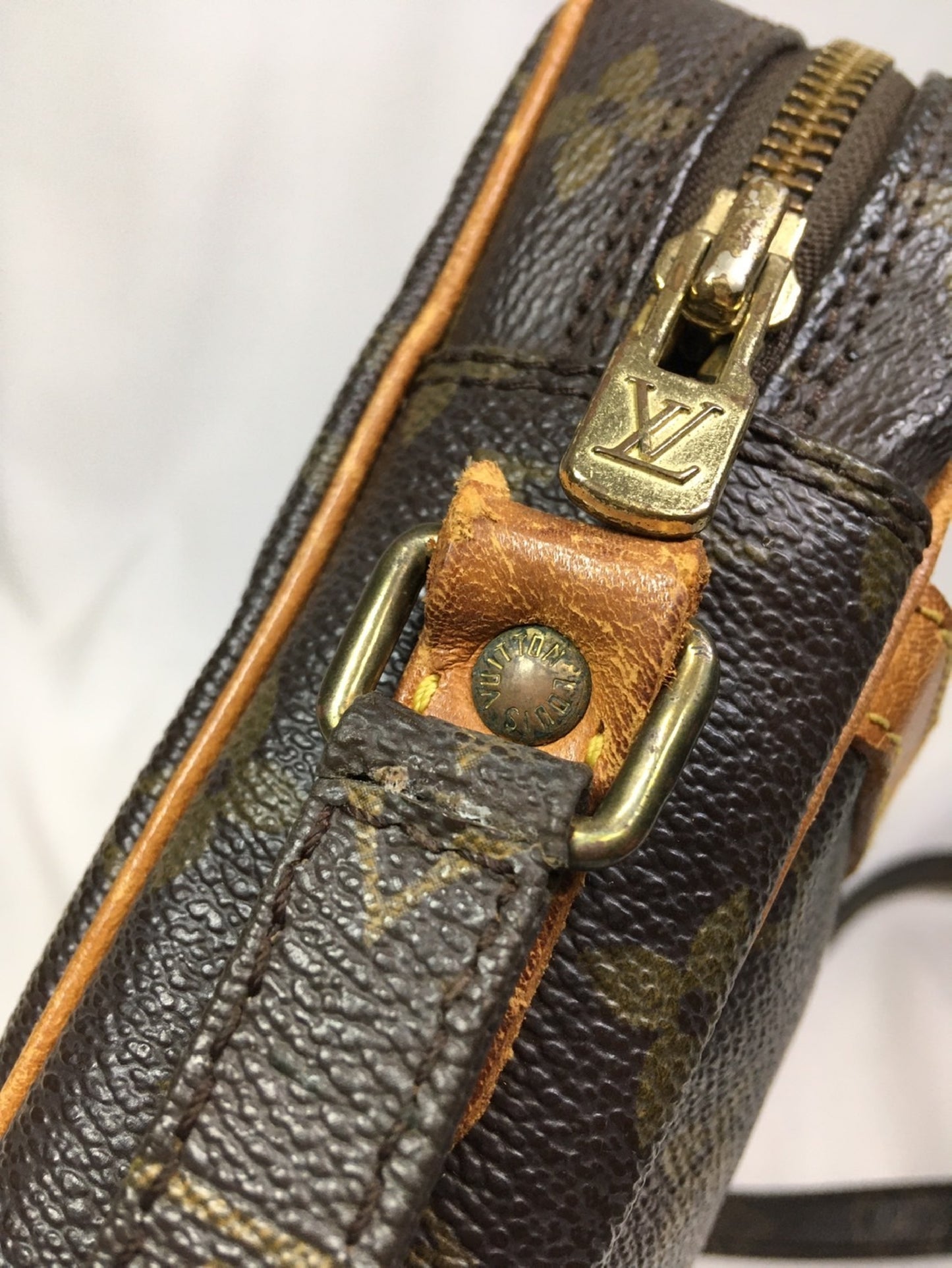 LOUIS VUITTON Monogram Danube Shoulder Bag