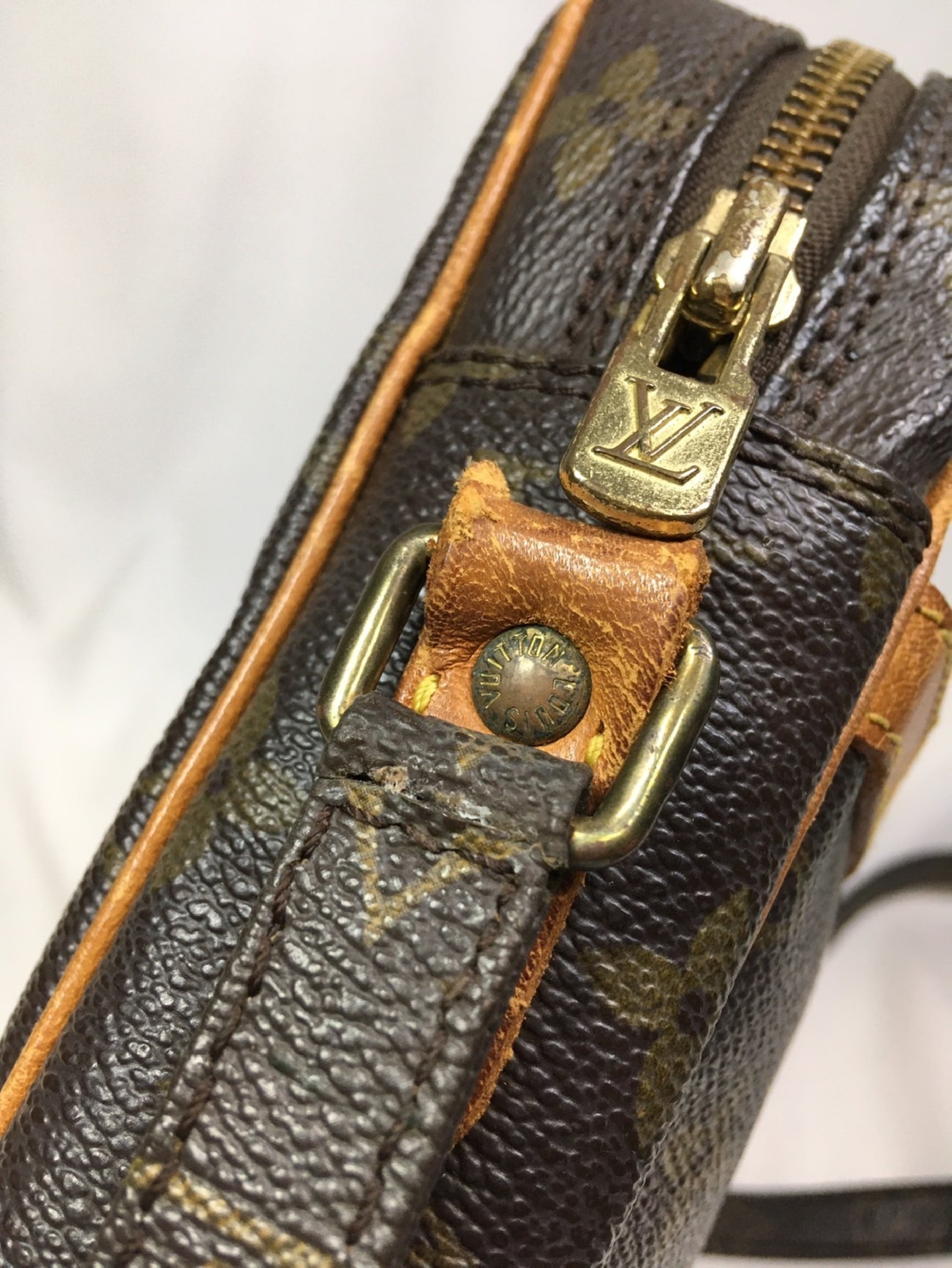 LOUIS VUITTON Monogram Danube Shoulder Bag