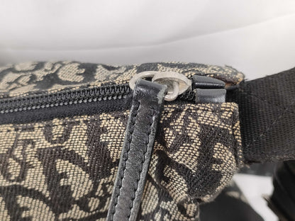 Dior Dior bag shoulder bag