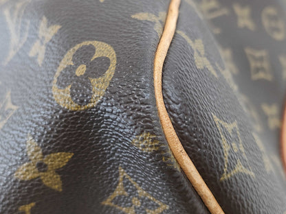 LOUIS VUITTON Monogram Louis Vuitton Boston Bag