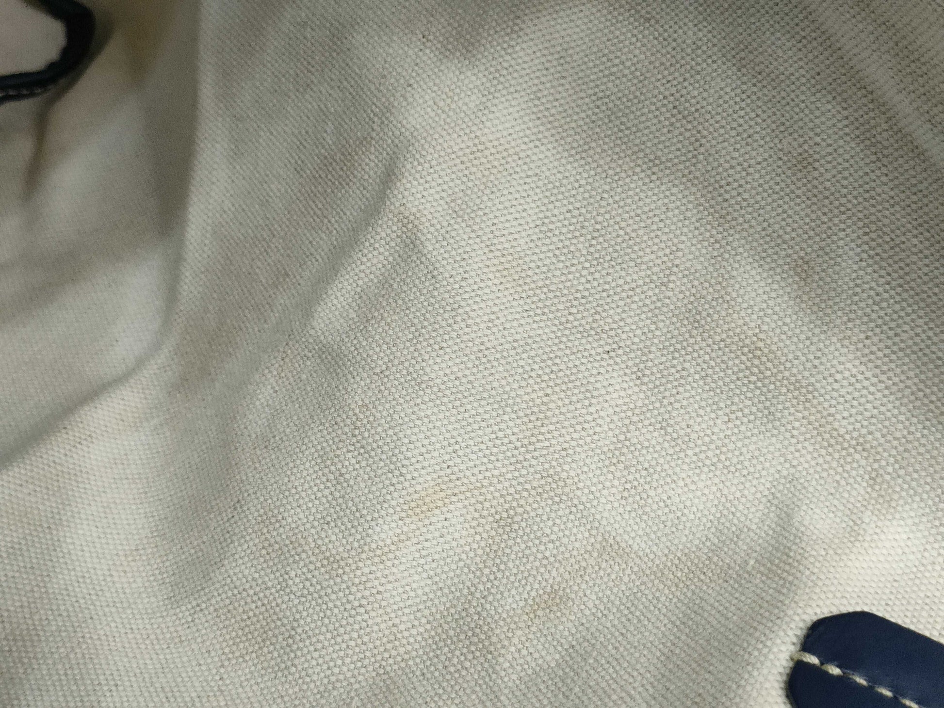 GOYARD Goyard Tote Bag Tote Bag