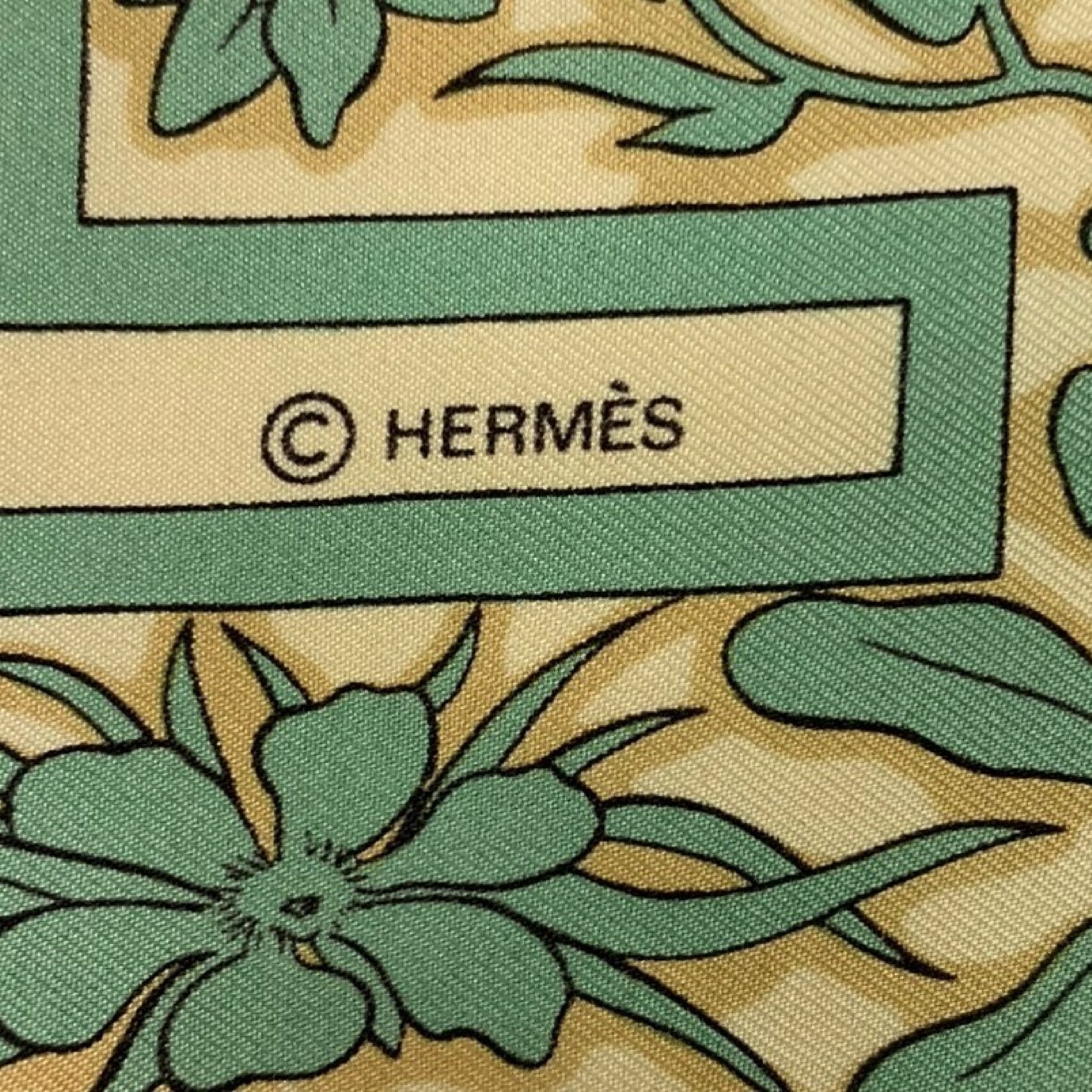HERMES Summer Jewelry Scarf