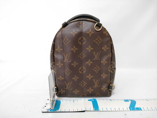 LOUIS VUITTON Monogram LV Palm Springs Mini World Tour Backpack