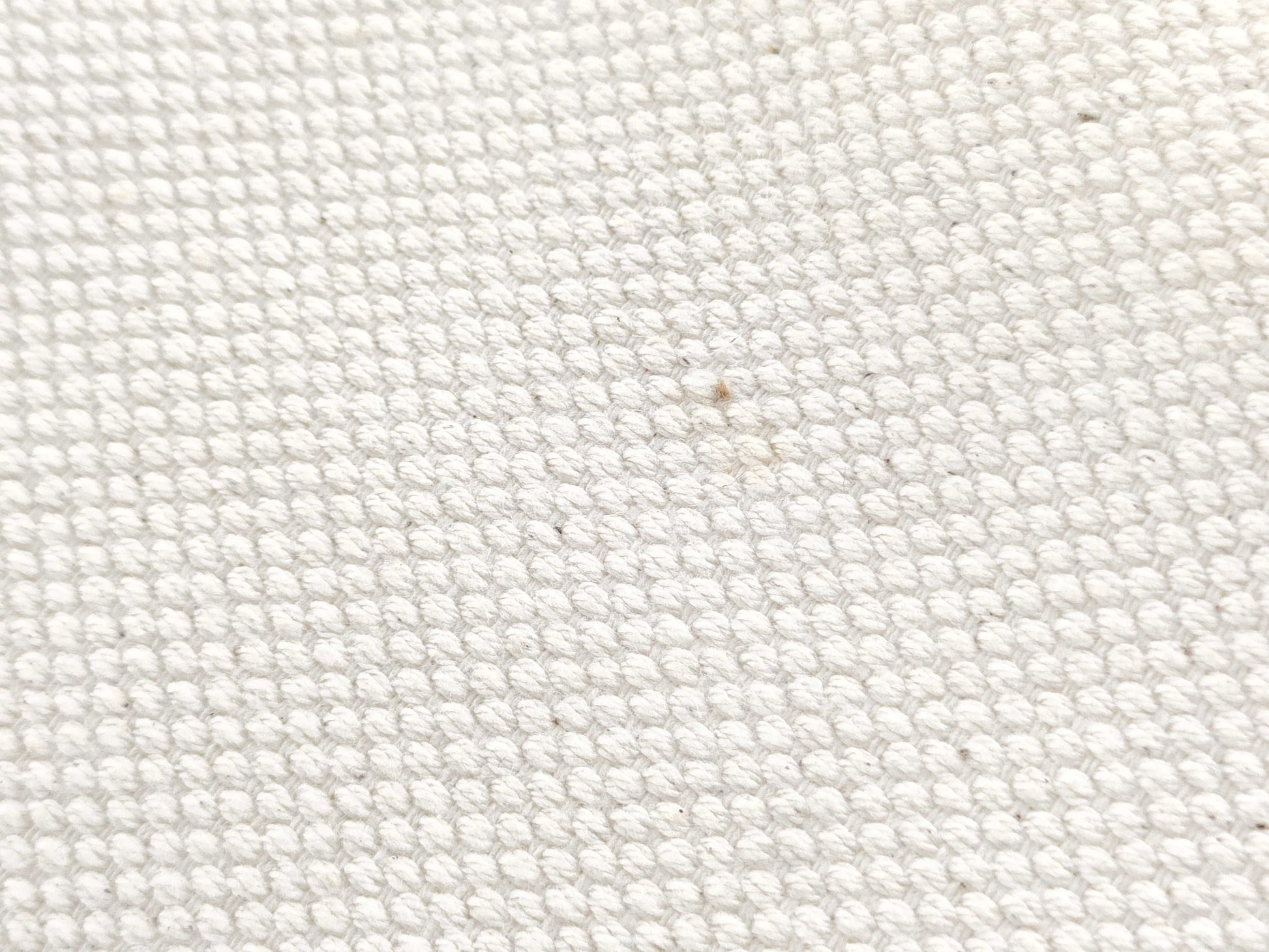 CELINE Horizontal Cabas Canvas Tote Bag with Key