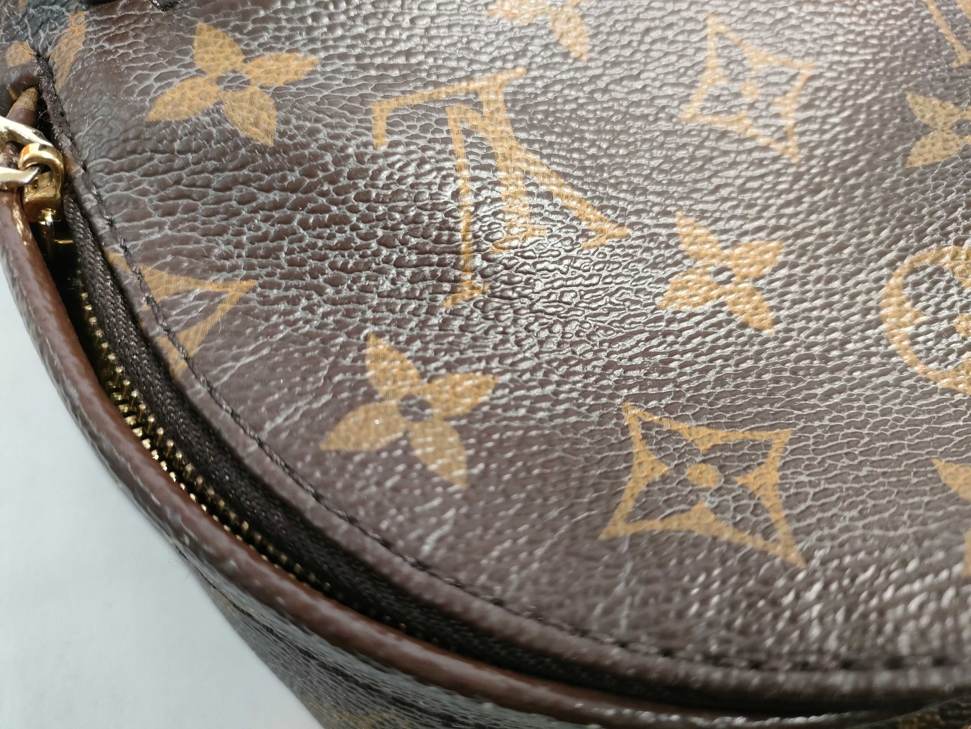 LOUIS VUITTON RFID verification failed. SD2156 Monogram M41562 Louis Vuitton Palm Springs Mini Backpack Monogram Rucksack