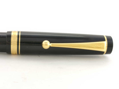 Pilot Fountain Pen Pens & Fountain Pens