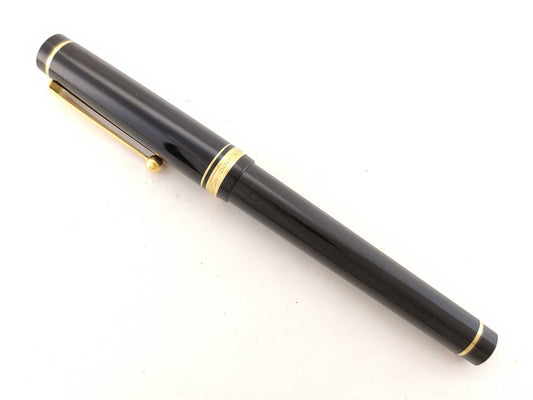 Pilot Fountain Pen Pens & Fountain Pens