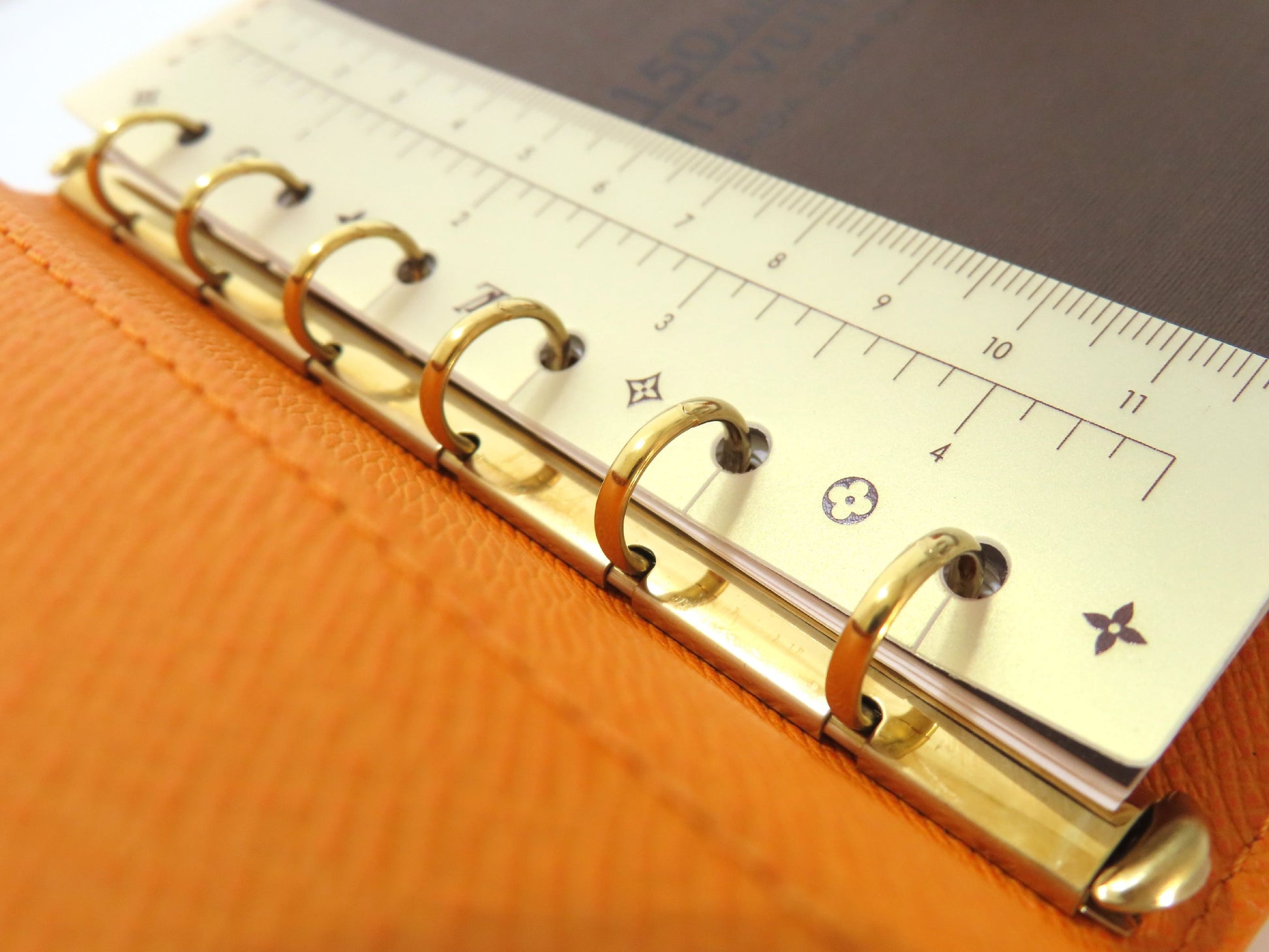 LOUIS VUITTON Epi Louis Vuitton Agenda PM Mandarin R2005 Notebook Cover