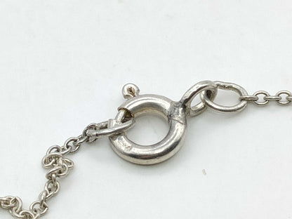 Tiffany & Co. Paloma Picasso Necklace in 925 Silver