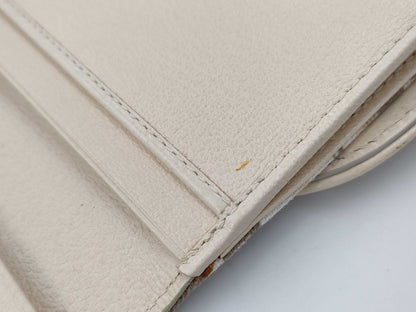 Dior Trotter Saddle Wallet