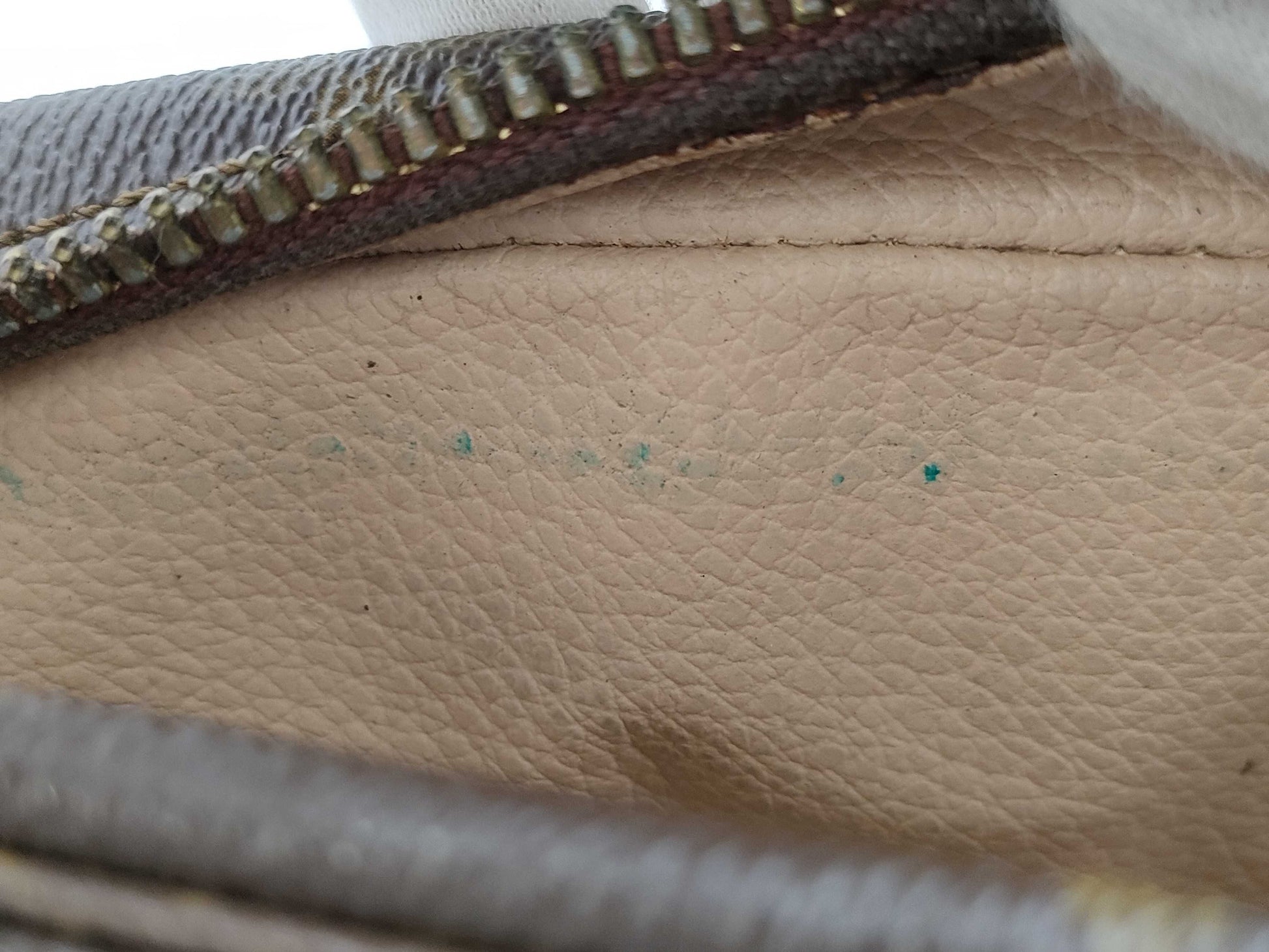 LOUIS VUITTON True Toilet Second Bag