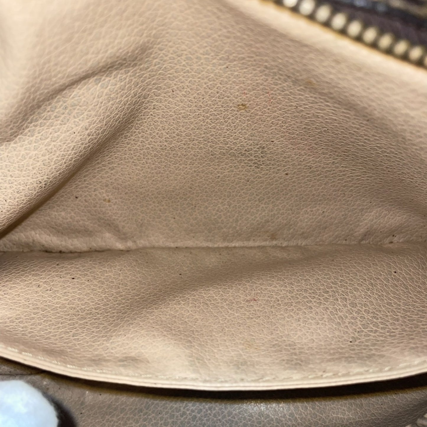 LOUIS VUITTON True Toilet Second Bag