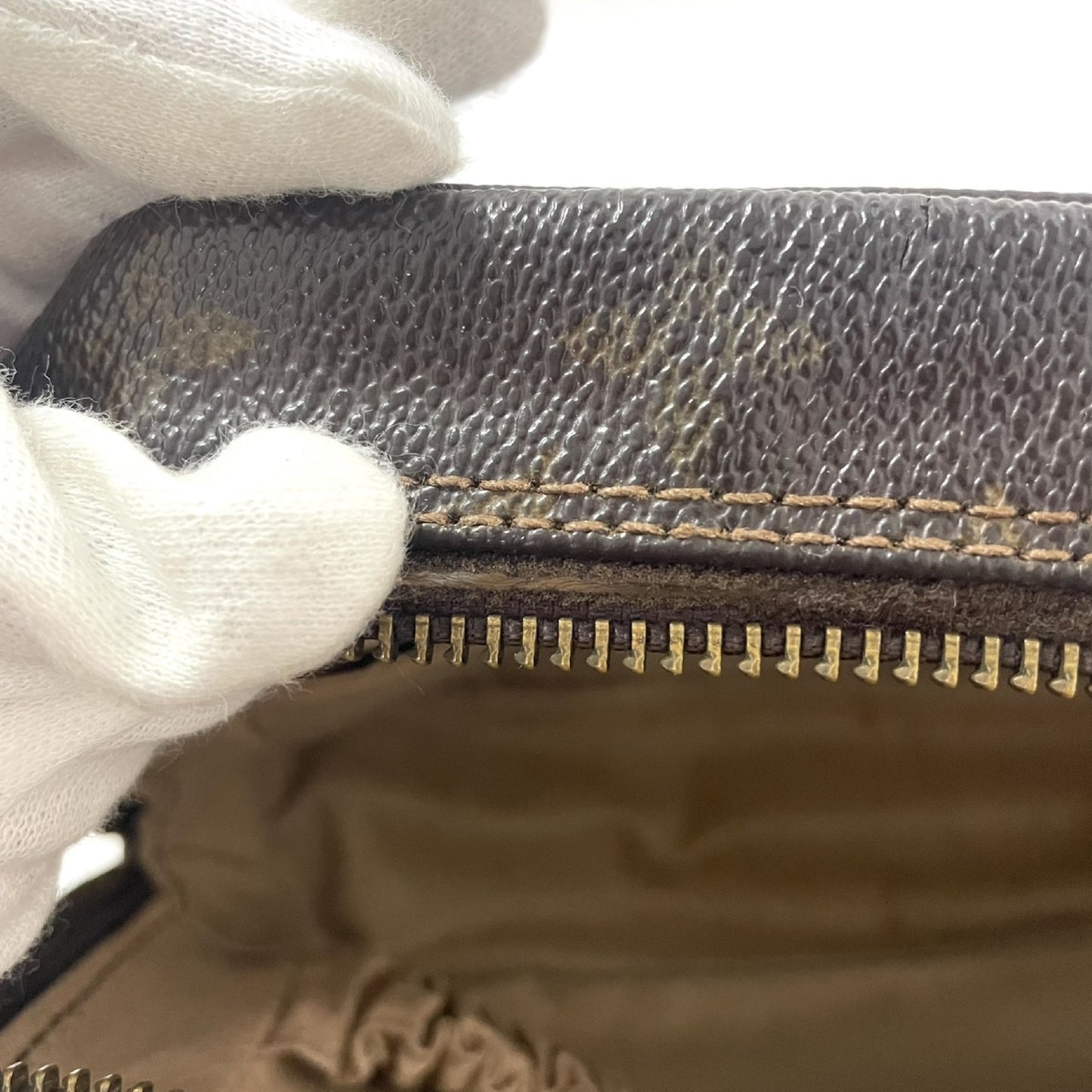 LOUIS VUITTON True Toilet Second Bag