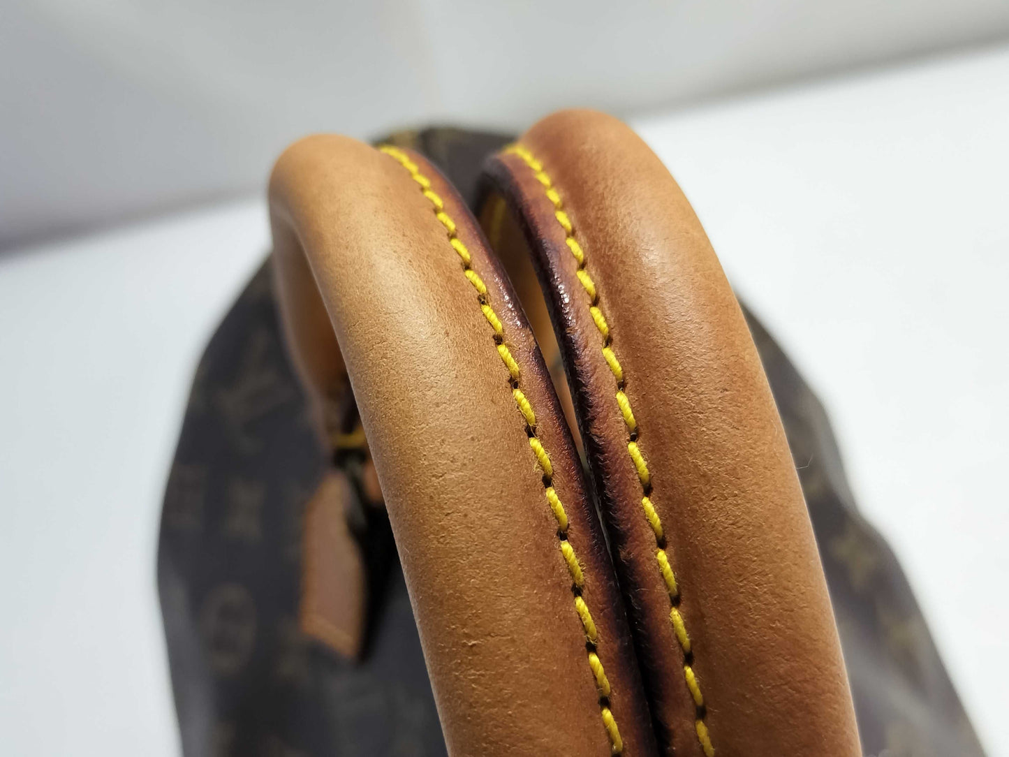 LOUIS VUITTON Louis Vuitton Speedy 30 Handbag