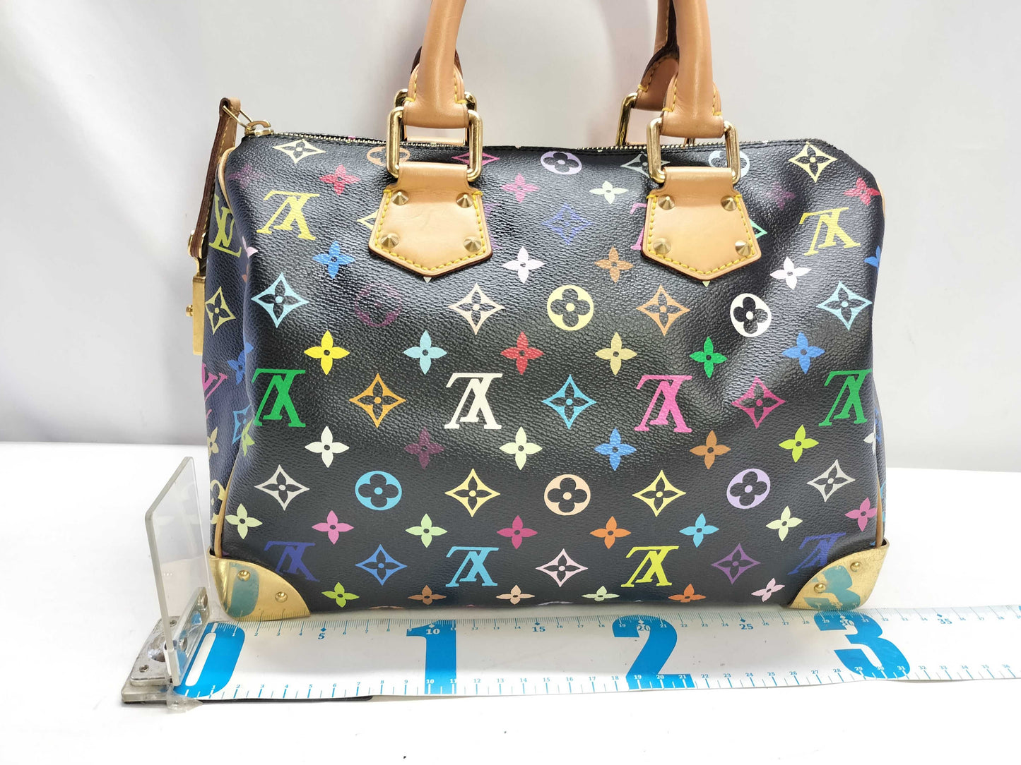 LOUIS VUITTON Speedy Multicolor Handbag