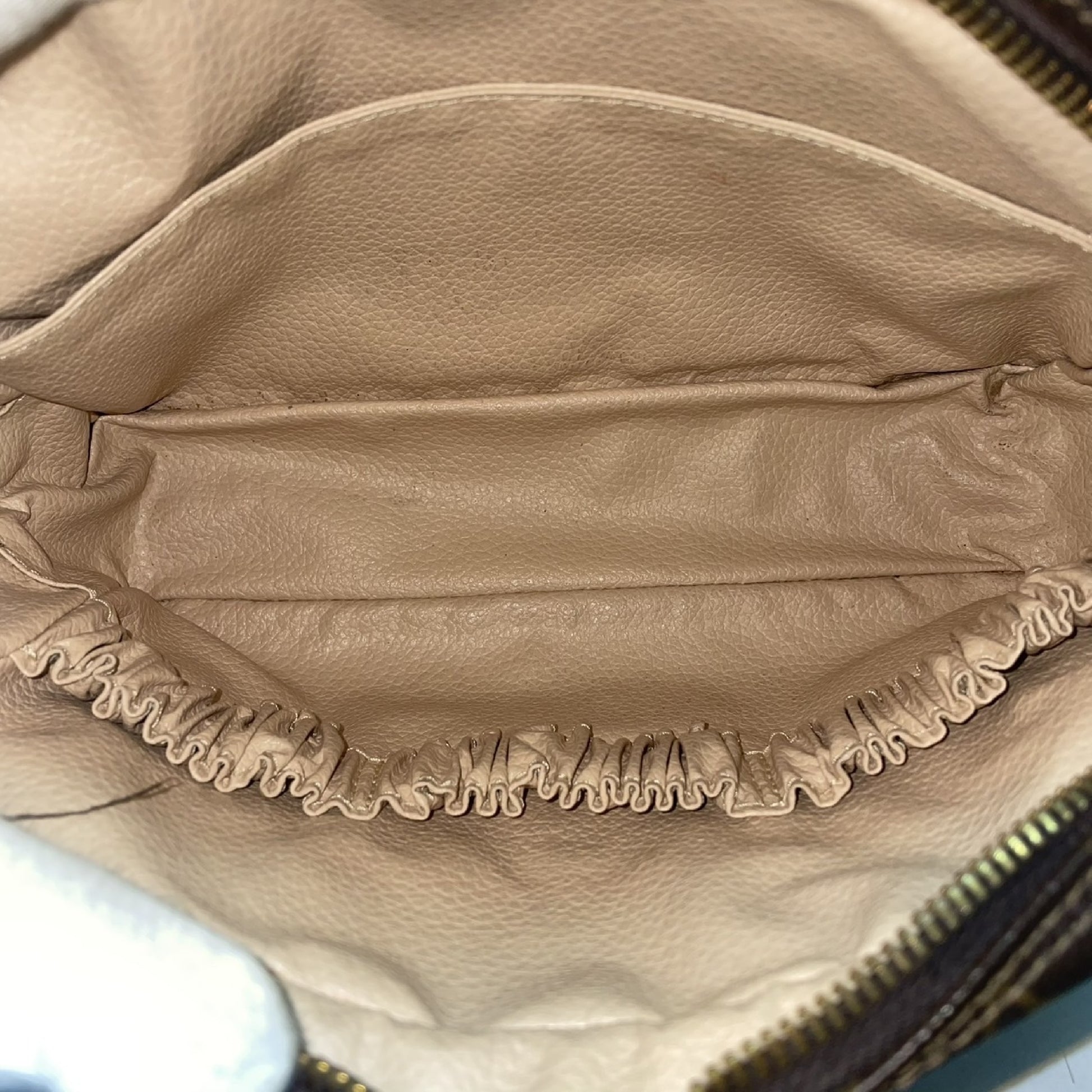 LOUIS VUITTON True Toilet Second Bag