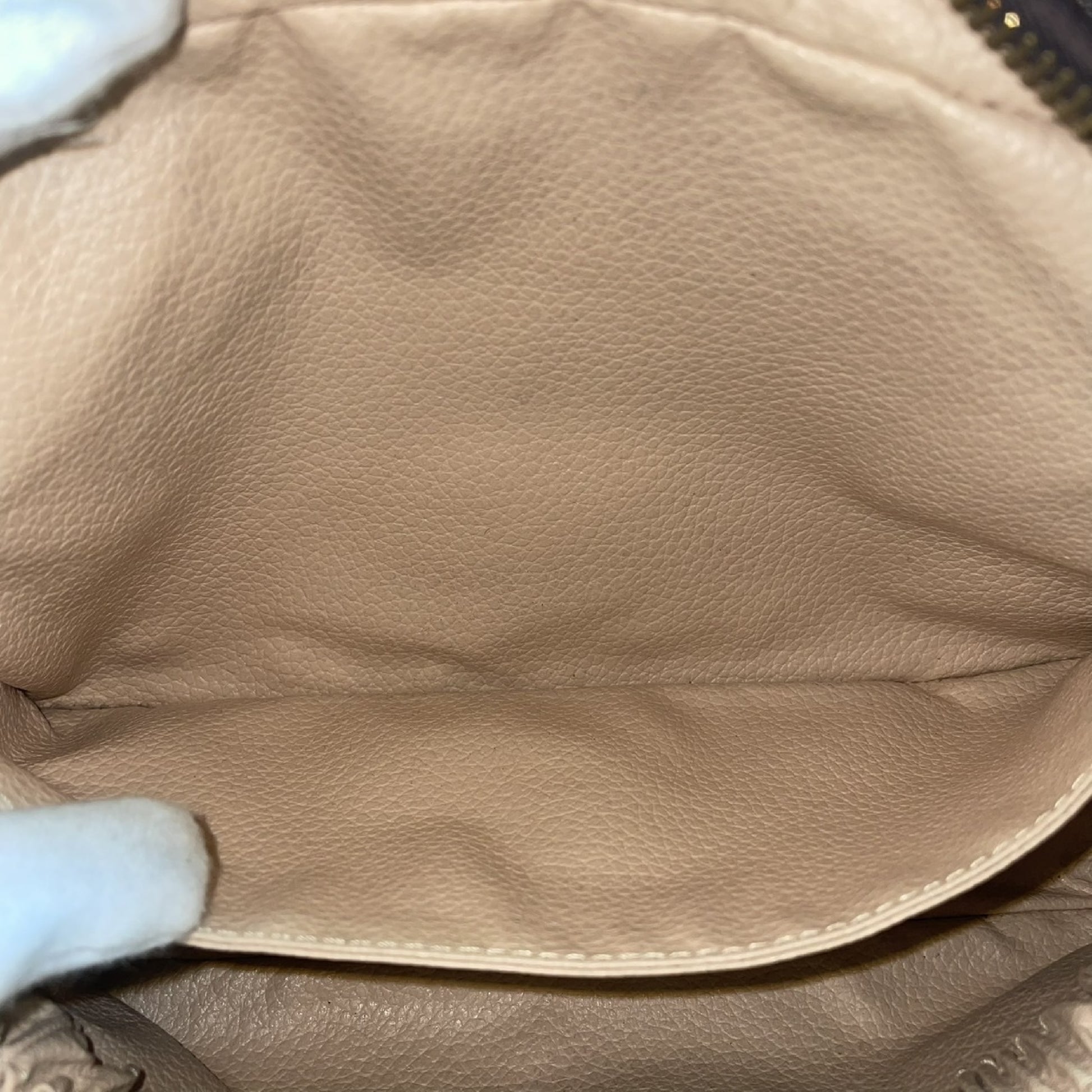 LOUIS VUITTON True Toilet Second Bag