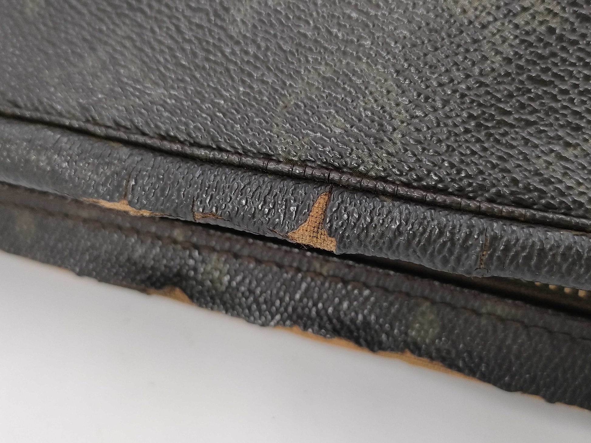 LOUIS VUITTON True Toilet Second Bag