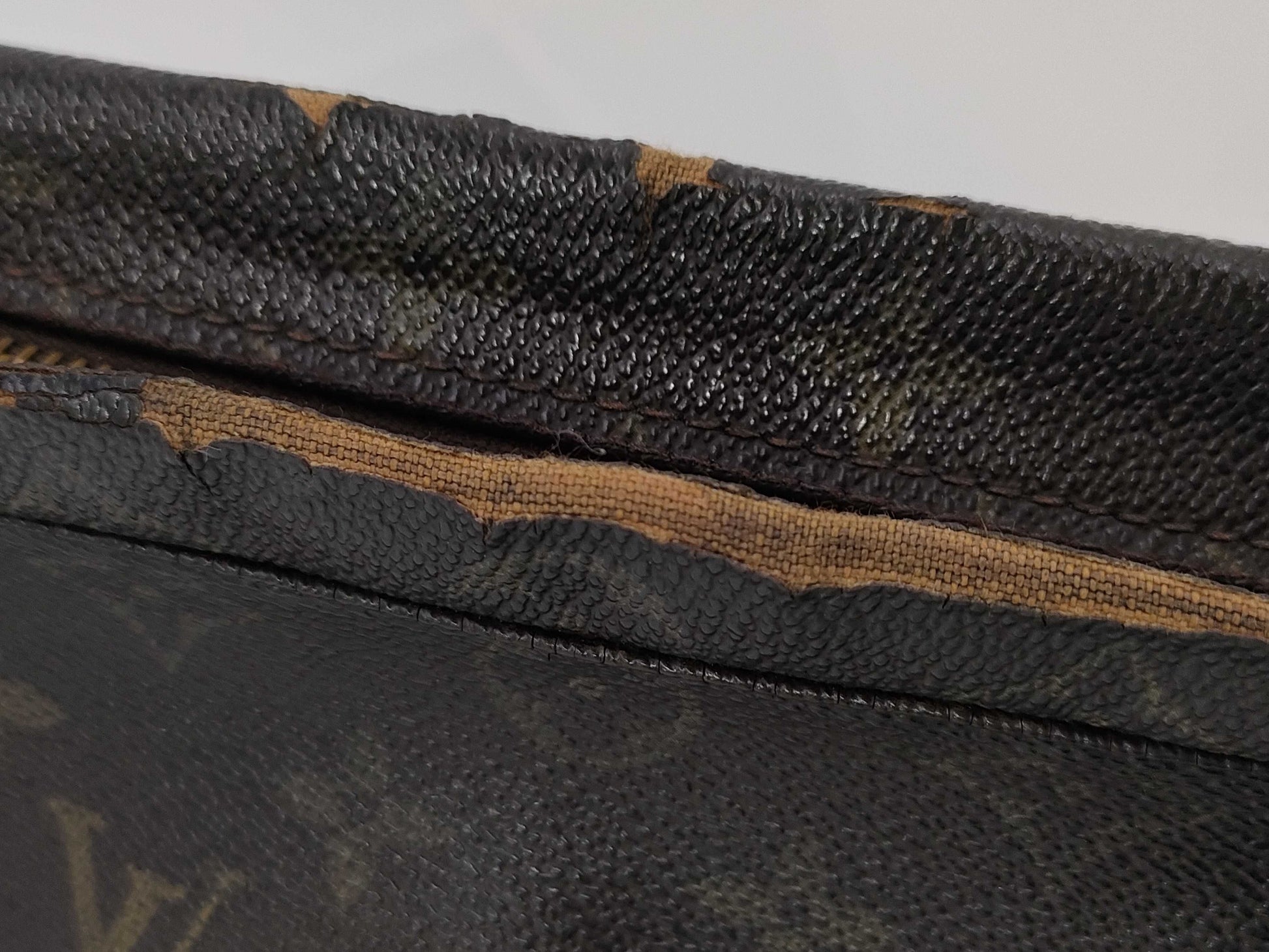 LOUIS VUITTON True Toilet Second Bag