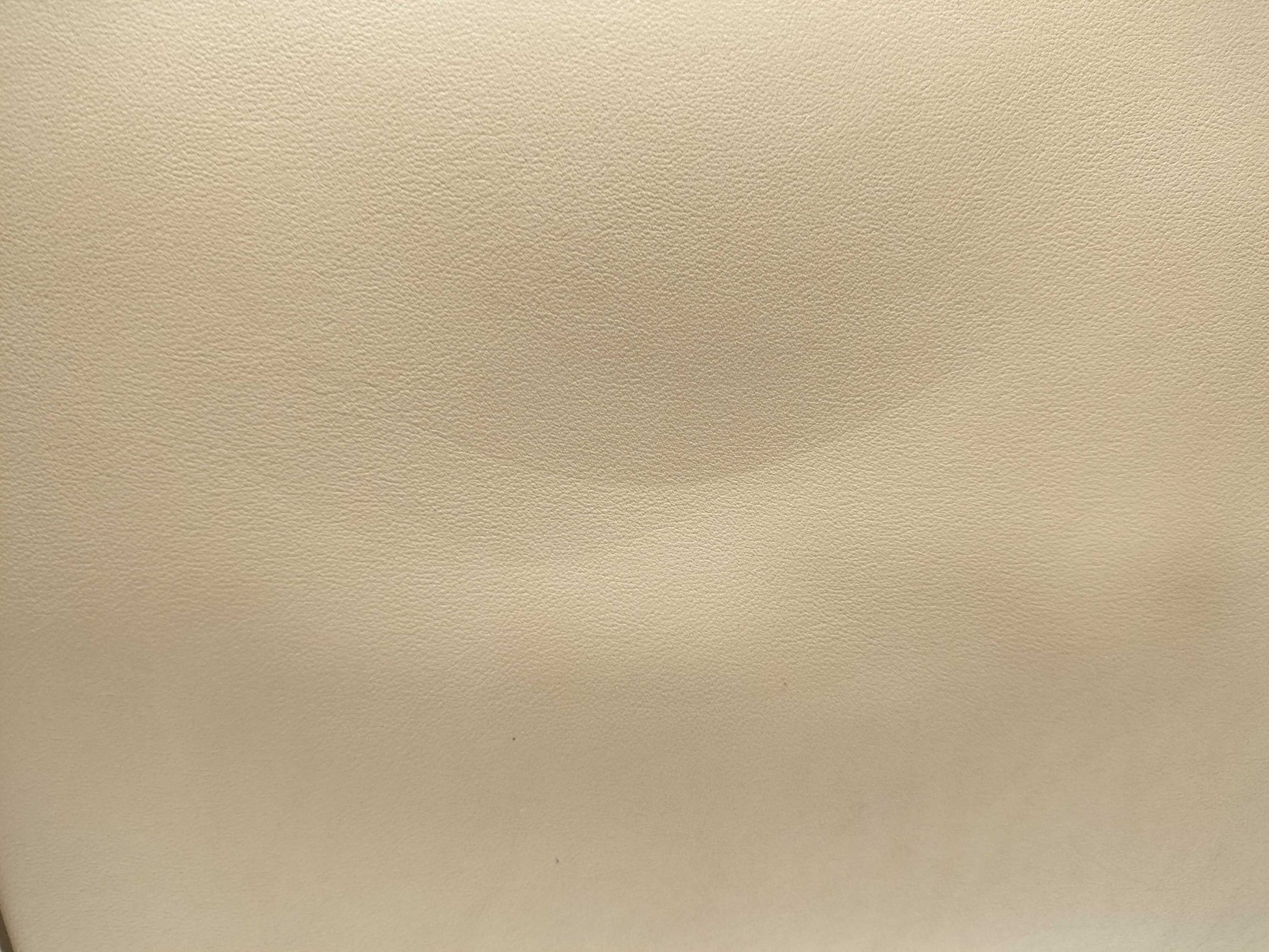 Cartier Cabochon Tote Bag