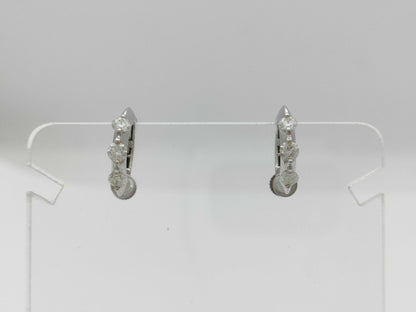 D0.25/0.25ct K18 3.0g Earrings 