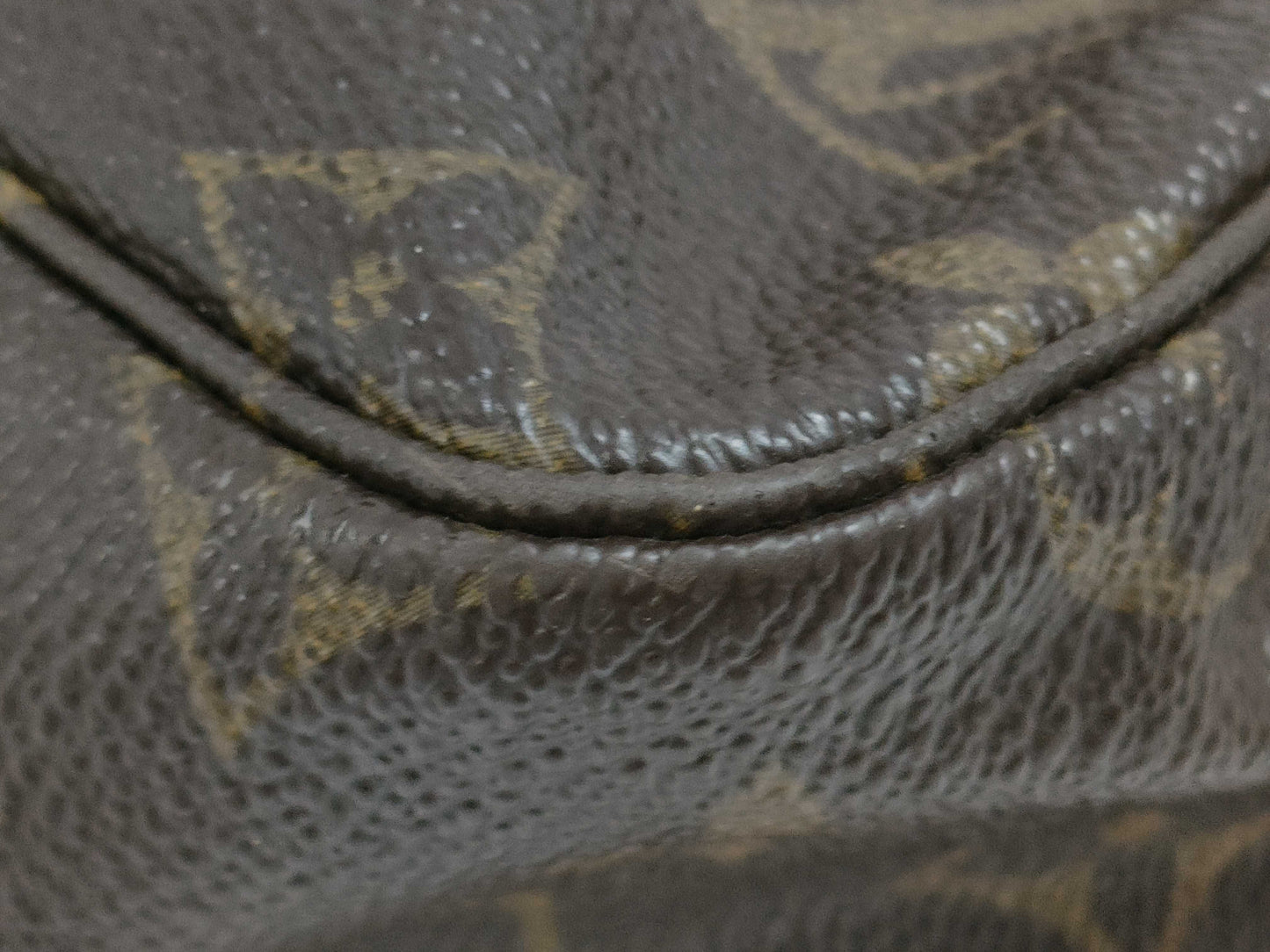 LOUIS VUITTON Monogram Truest Wallet 28 Second Bag