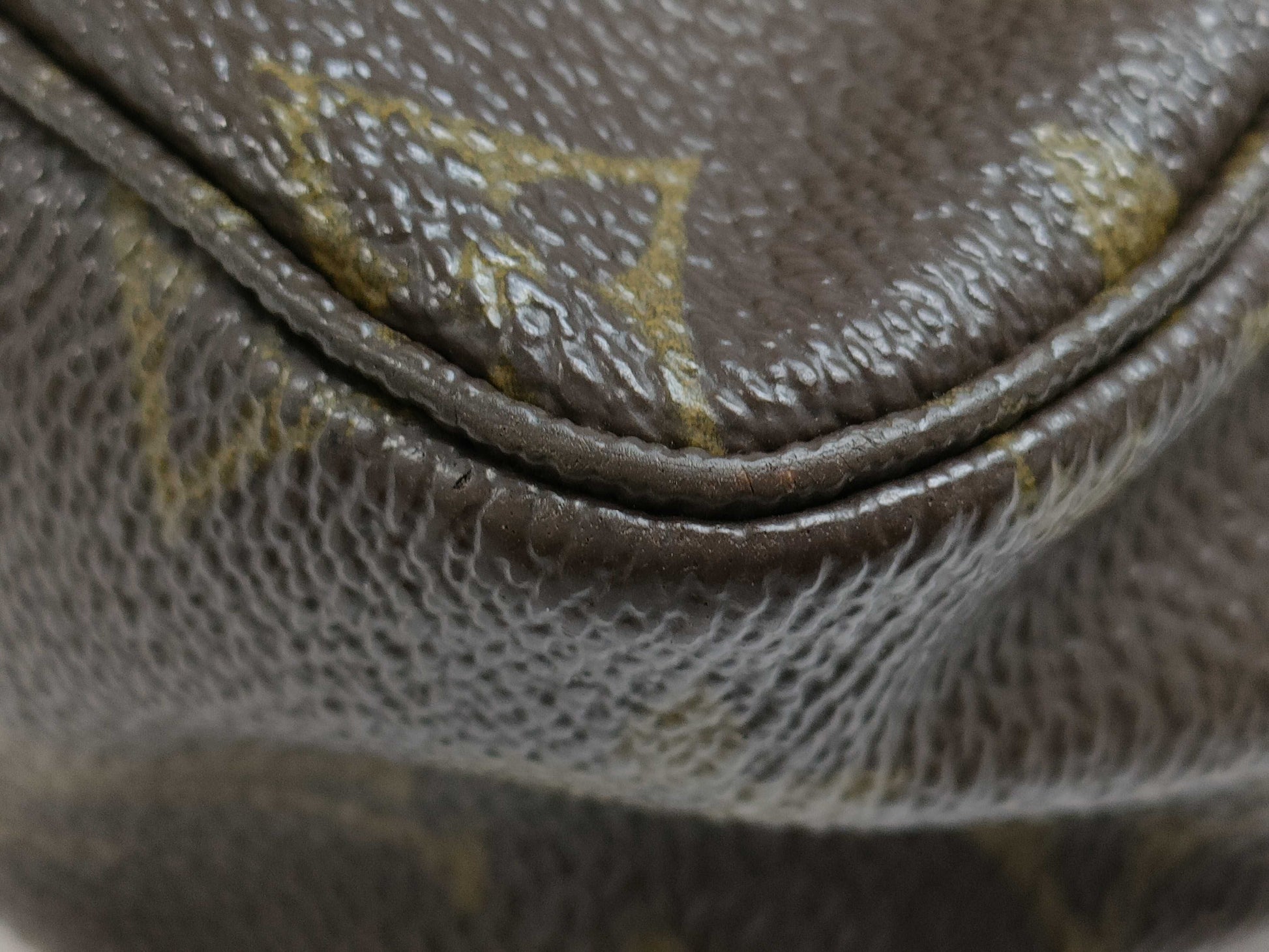 LOUIS VUITTON Monogram Truest Wallet 28 Second Bag