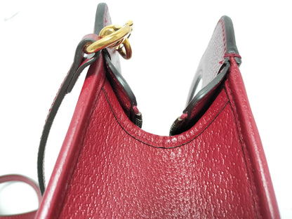 GUCCI 2-Way Handbag Floral Print 100th Anniversary Model Handbag