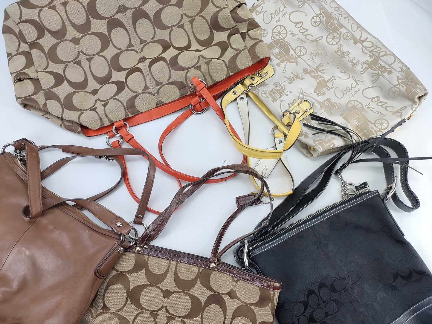COACH Signature Coach Mountain 5-Piece Tote Bag Set