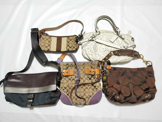 COACH Mountain 5-Piece Handbag Set