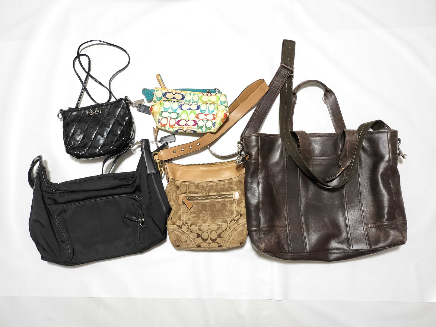 COACH Mountain 5-Piece Handbag Set