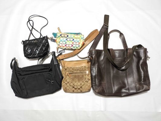COACH Mountain 5-Piece Handbag Set