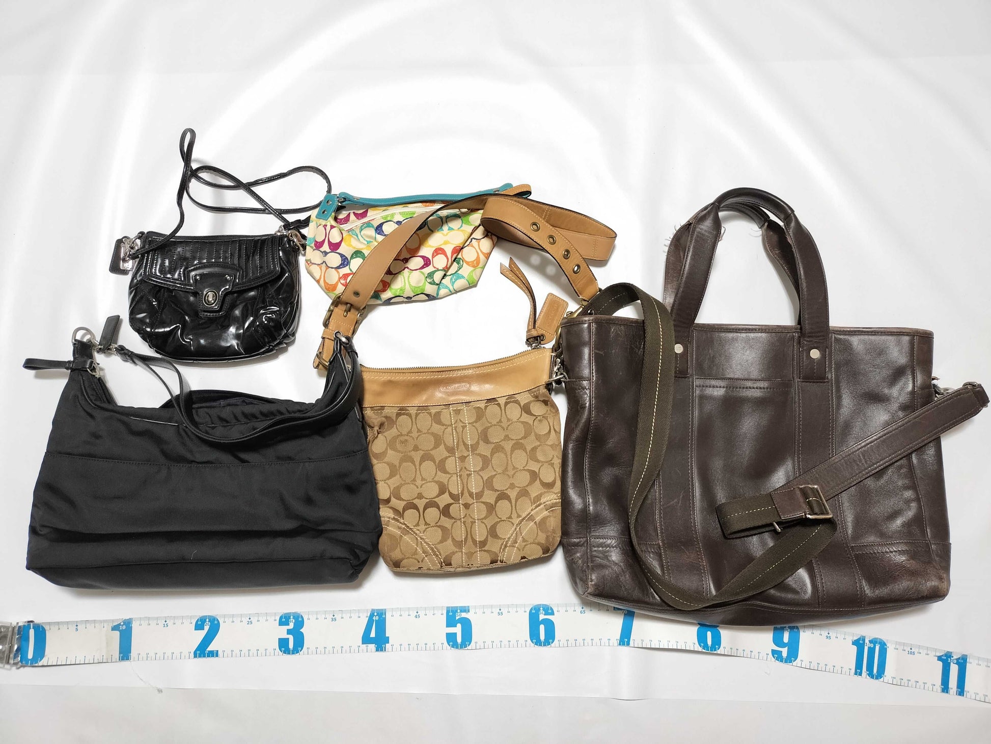 COACH Mountain 5-Piece Handbag Set