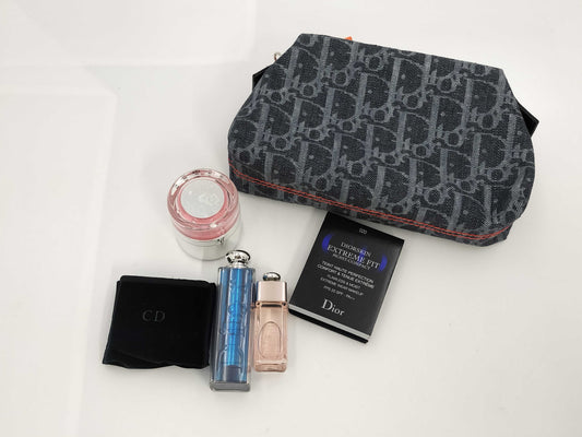 Dior Flight Pouch Other Accessories