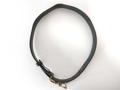 Salvatore Ferragamo Belt Belt