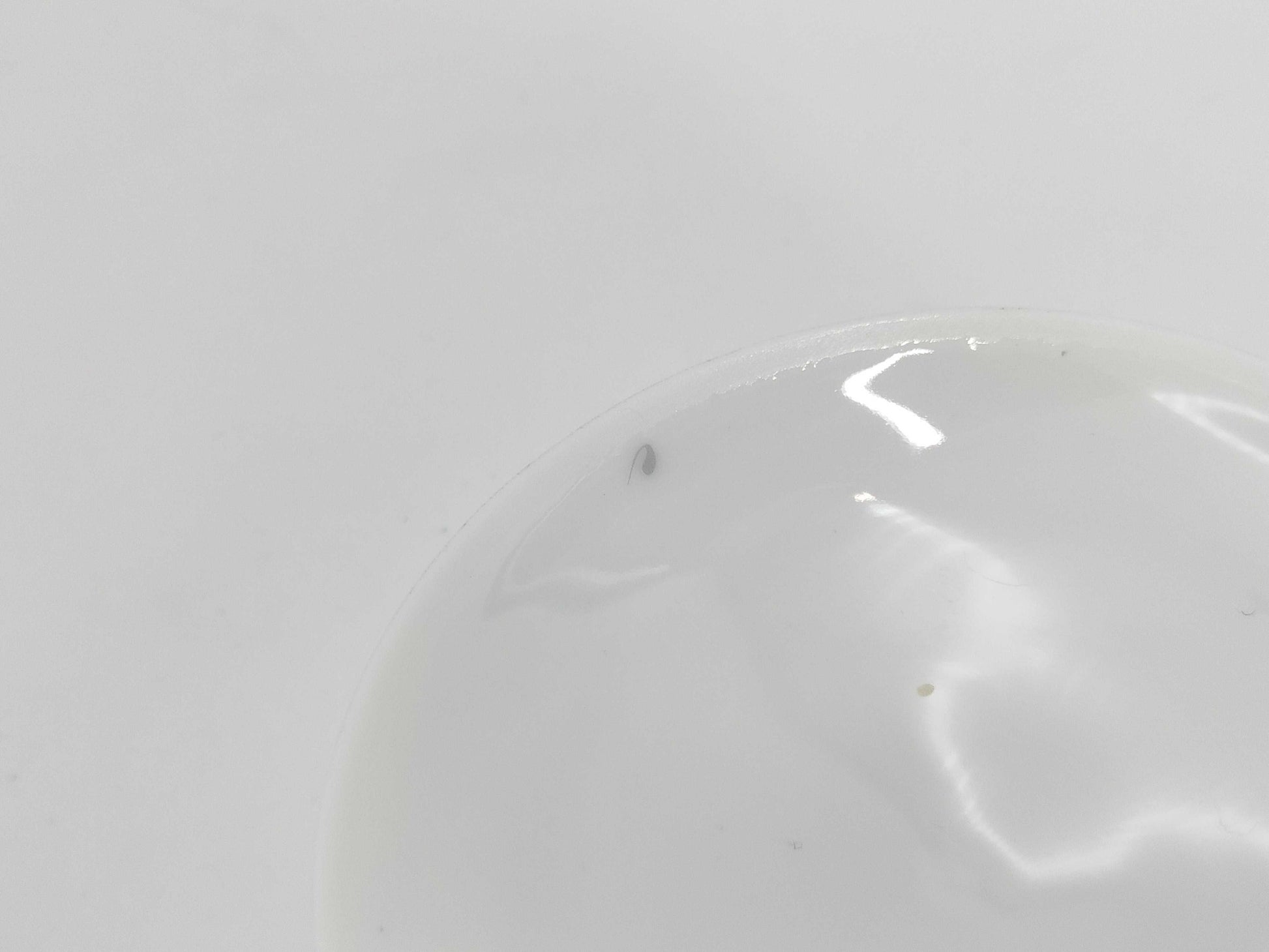 HERMES Hermès Garden of the Nile Japanese Teacup and Saucer
