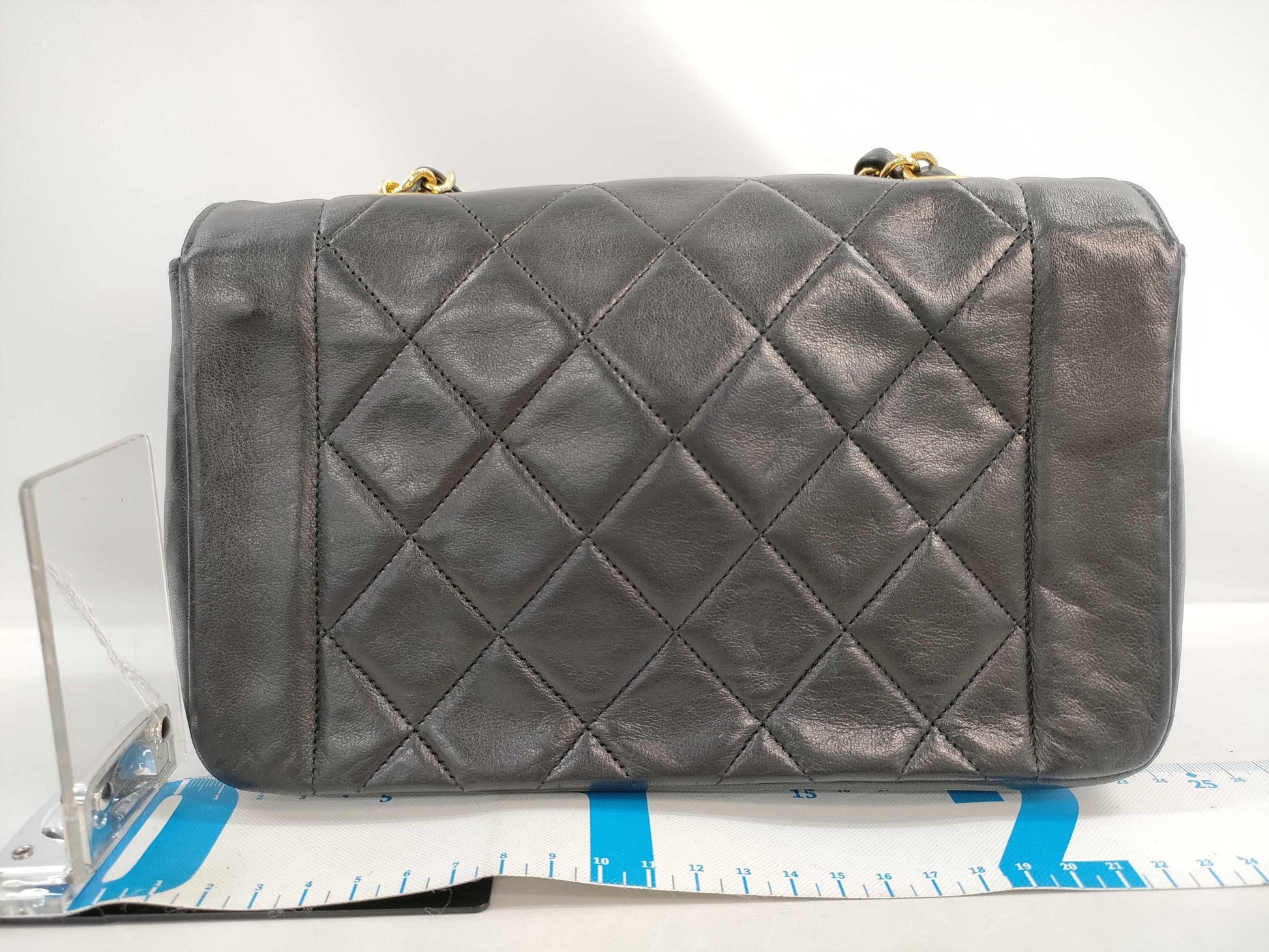 CHANEL Diana Chain Shoulder Bag, No. 1
