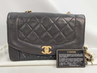 CHANEL Diana Chain Shoulder Bag, No. 1