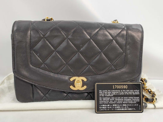 CHANEL Diana Chain Shoulder Bag, No. 1