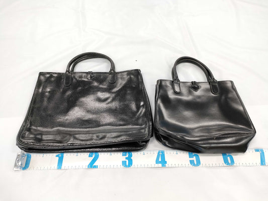 LONG CHAMP Longchamp Bag Set of 5 Bags