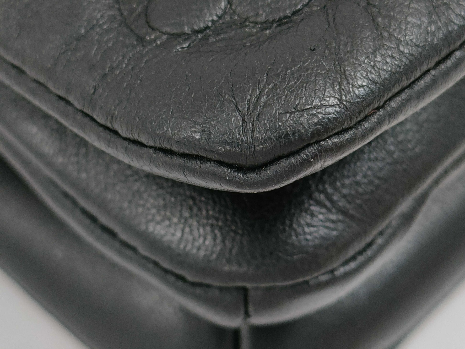 LOUIS VUITTON Louis Vuitton Pochette Coussin Bag