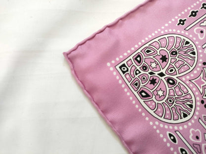 HERMES Carre Hermes Scarf Other Accessories