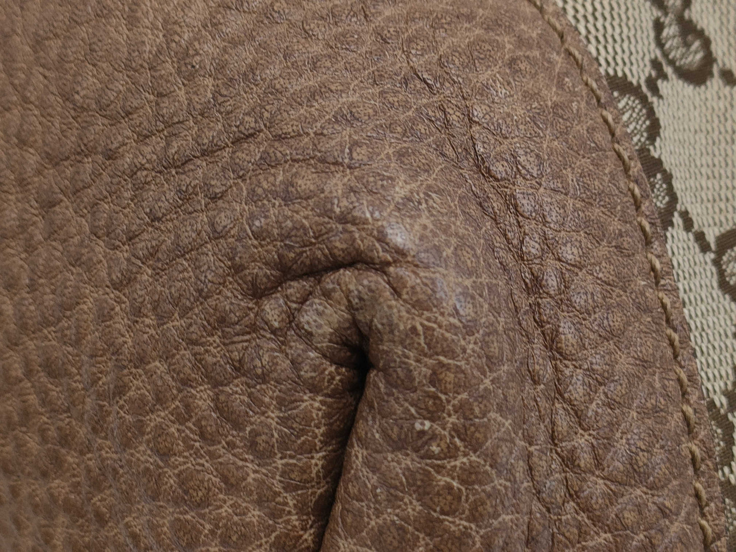 GUCCI GG Canvas Handbag Bag
