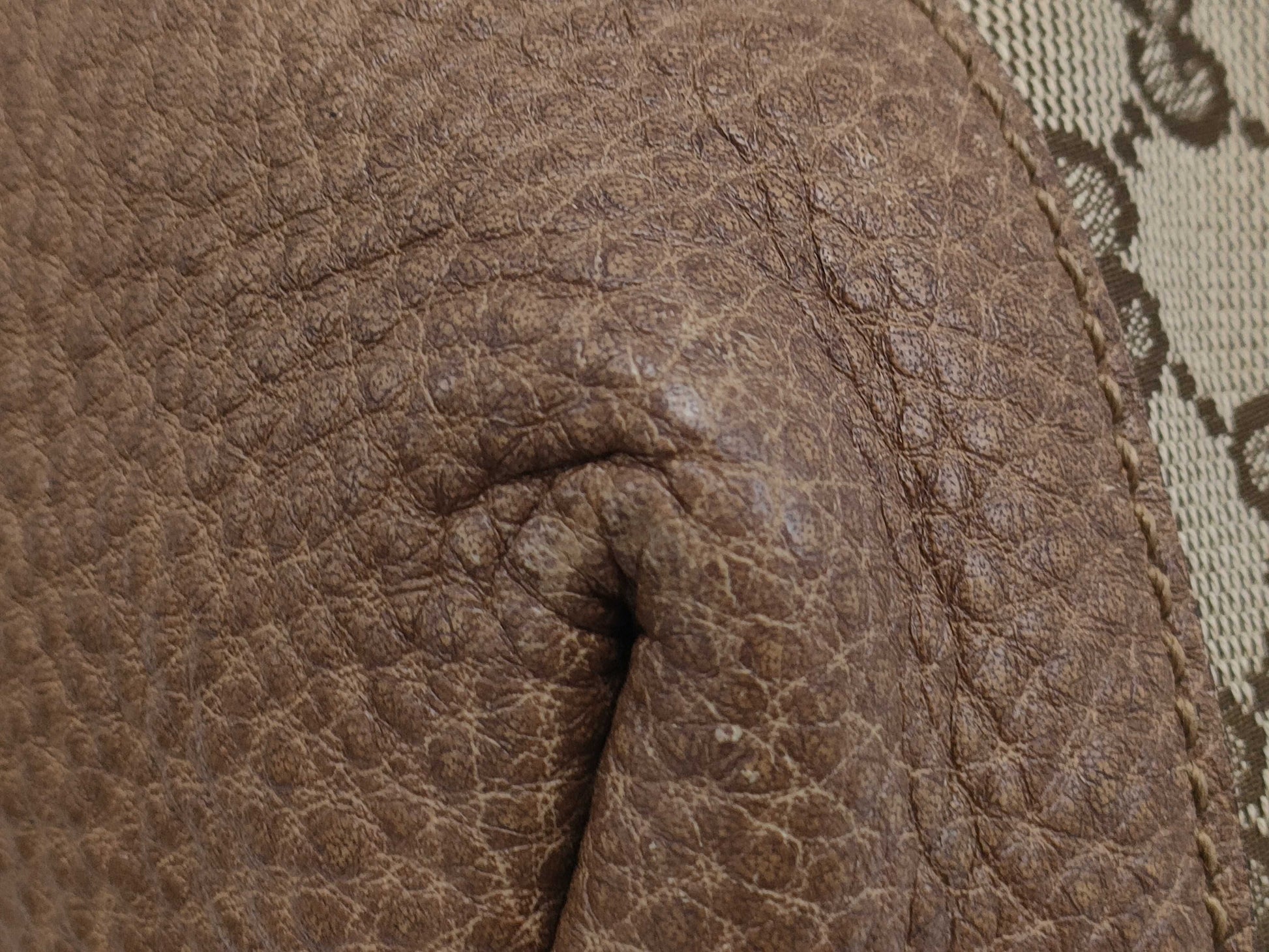 GUCCI GG Canvas Handbag Bag