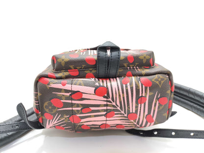 LOUIS VUITTON Monogram Jungle Dot Palm Springs Backpack PM M41981 FL1118 Brown x Red Backpack