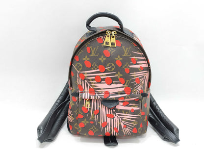 LOUIS VUITTON Monogram Jungle Dot Palm Springs Backpack PM M41981 FL1118 Brown x Red Backpack