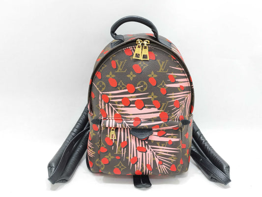 LOUIS VUITTON Monogram Jungle Dot Palm Springs Backpack PM M41981 FL1118 Brown x Red Backpack