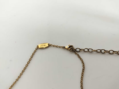 LOUIS VUITTON LOUIS VUITTON Louis Vuitton Iconic Necklace Necklace
