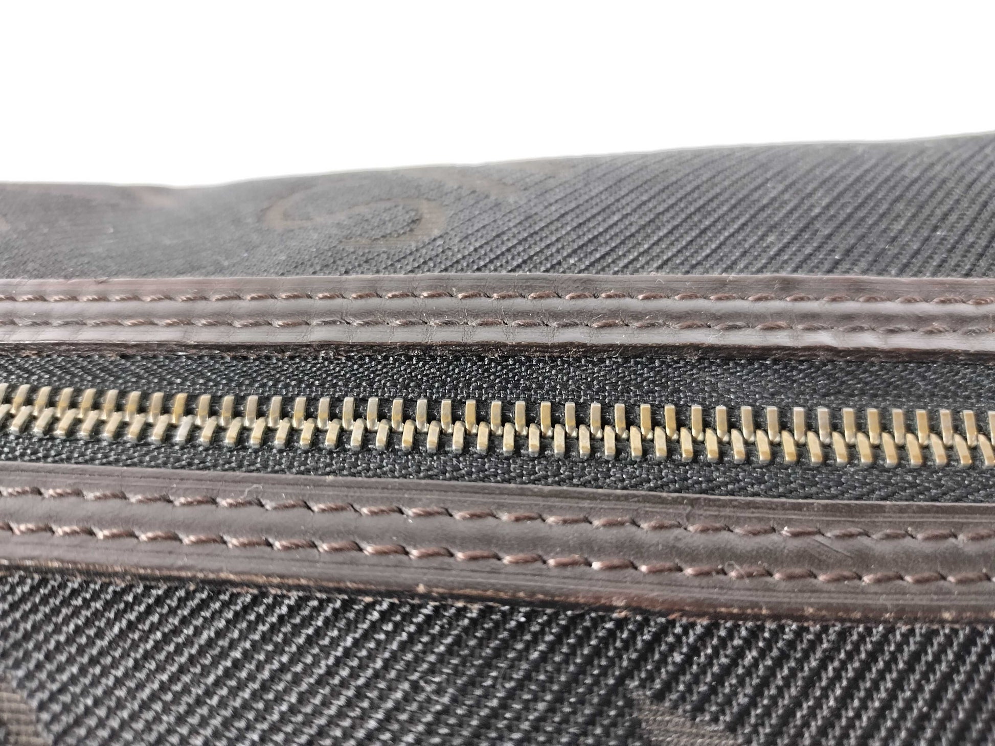 LOUIS VUITTON Truth Albatross Clutch Bag