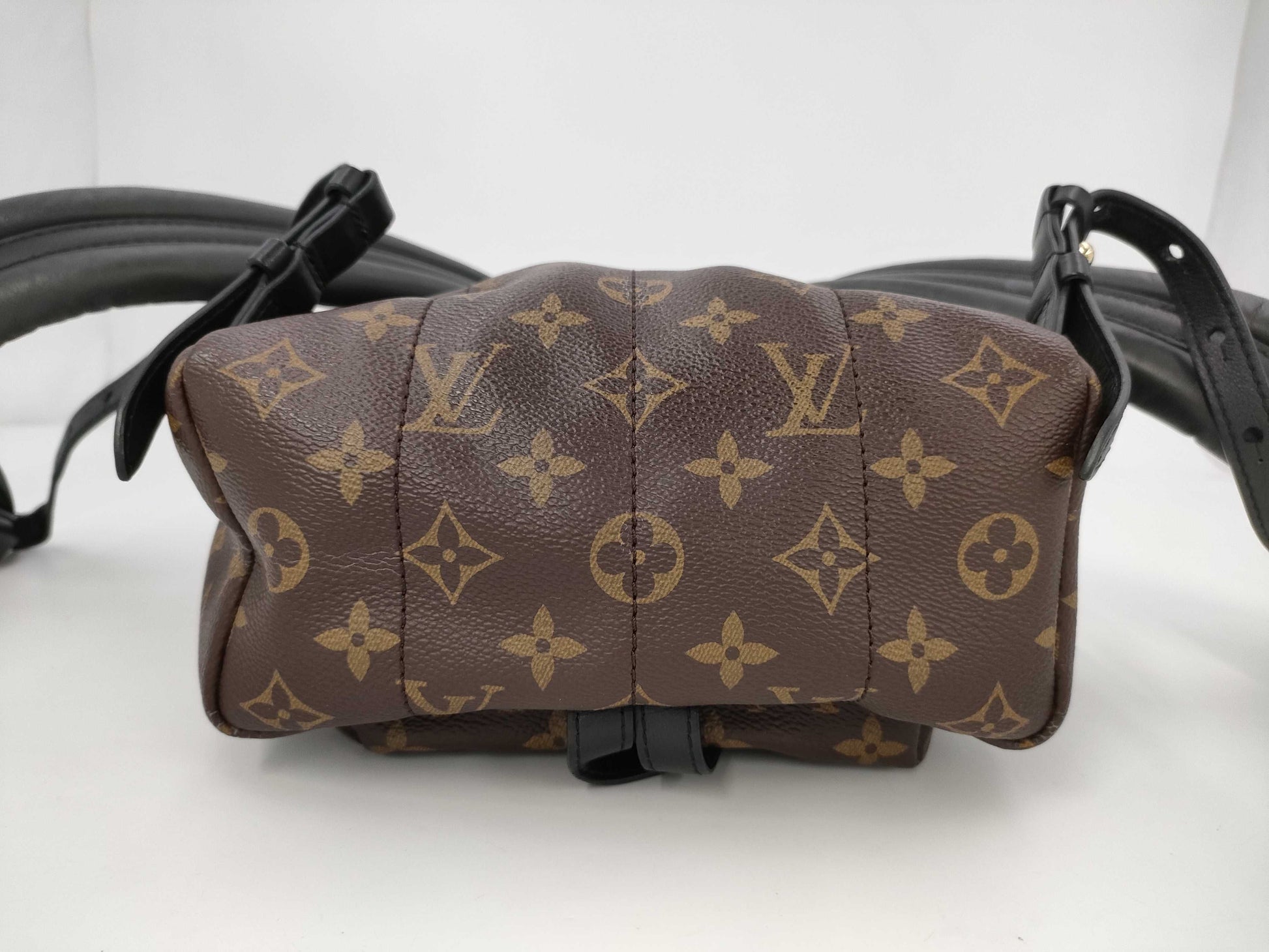 LOUIS VUITTON LOUIS VUITTON Monogram Palm Springs Backpack